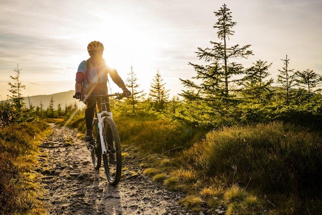 Mountainbike - Kauf und Service beim Profi in Traun